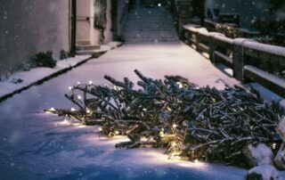 Weihnachtsbaum_Entsorgung - Foto: PIXABAY
