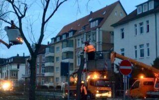 Baumfällarbeiten Jasperallee - Foto: Red.