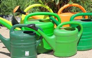 Wasserhelden gesucht - Foto: pixabay