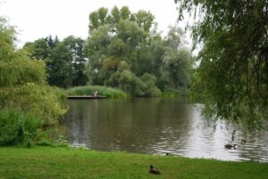 Schulgarten am Dowesee - Foto: Kultur uinter Glas