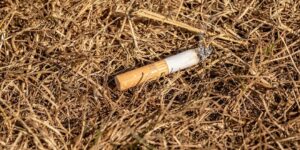 Waldbrandgefahr durch weggeworfene Zigaretten - Foto pixabay