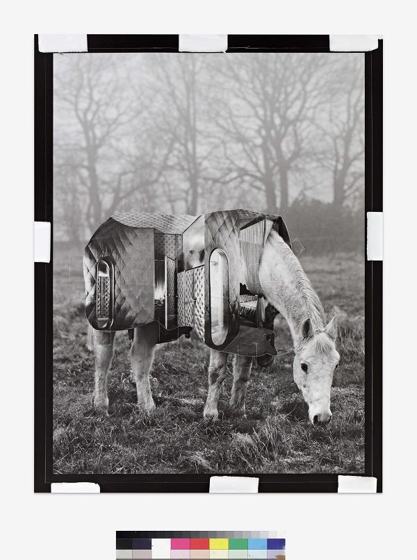 Shannon Bool, Horse of Oblivion #3