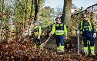 Herbstsaison bei ALBA - Foto: @ALBA Group