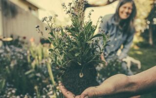 Gartenarbeit - Foto: (c) pixabay