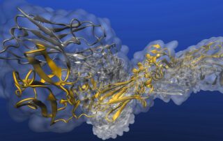 Antikörper-Forschung (c)TUBS_2020_dübel