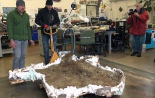 Fischsaurier (c) Naturhistorisches Museum BS