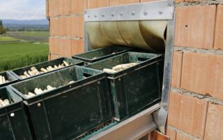 Spargelernte (c) pixabay