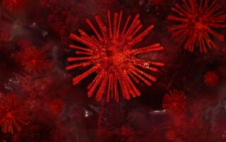 Virus Symbolbild (c) pixabay