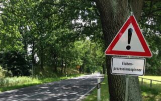 Eichenprozessionsspinner (c) pixabay