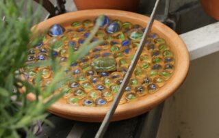 Insektentränke-c-NABU-Melanie-Konrad