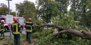 Bilanz nach Sturmtief „Kirsten“ - Keine Verletzten, aber Sachschäden durch umgerissene Bäume