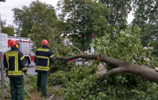 Bilanz nach Sturmtief „Kirsten“ - Keine Verletzten, aber Sachschäden durch umgerissene Bäume