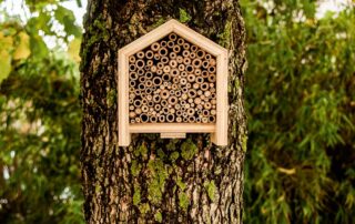Bienenhotel (c) BS Stadtmarketing & Tevigo GmbH
