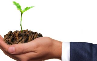 Keimling (c) Sarah Richter