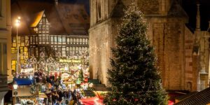 Braunschweig Stadtmarketing_Weihnachtsbaum_Domplatz