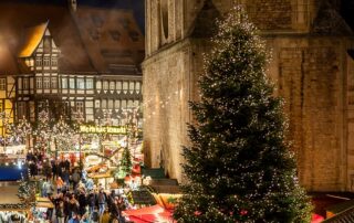 Braunschweig Stadtmarketing_Weihnachtsbaum_Domplatz