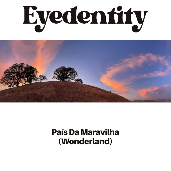 Cover Eyedentity (c: Ropeadope)