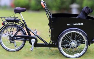 E-Lastenrad (c) pixabay