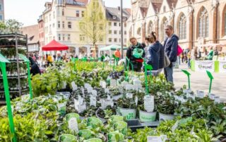 BBG-Stadtnaturtage (c) BSM Philipp Ziebart