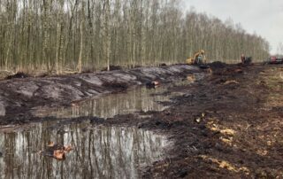 Revitalisierung Grosses Moor (c) Ines Bruchmann, NLWKN