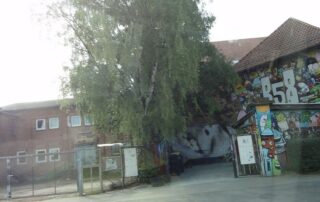 B58_Braunschweig (c) Mattes