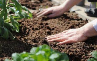 Gartenarbeit (c) Alexander Fox