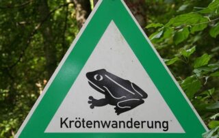 Krötenwanderung - Foto (c) Simone